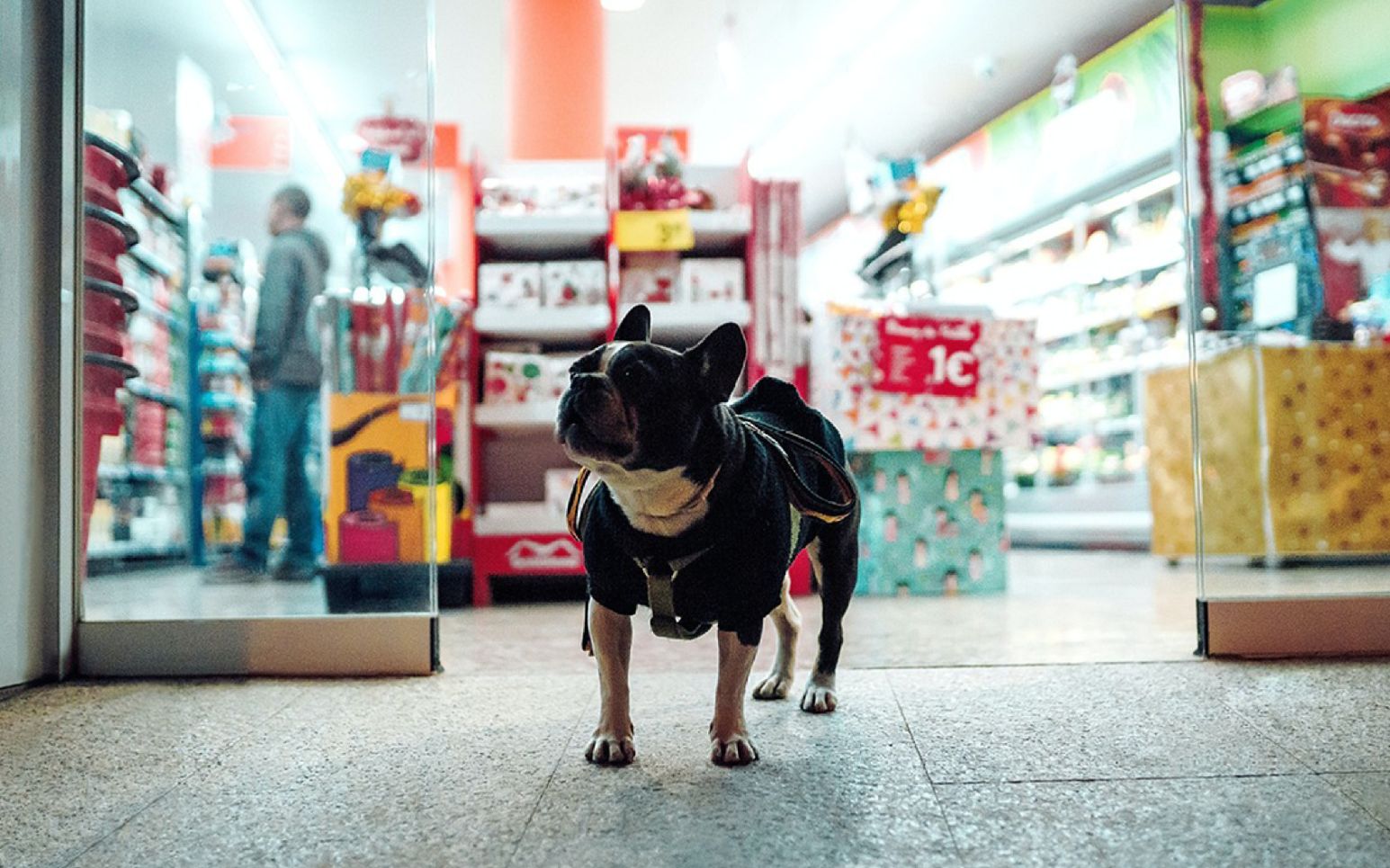 There are tons of ways to buy food for your pets, from browsing the aisles ...