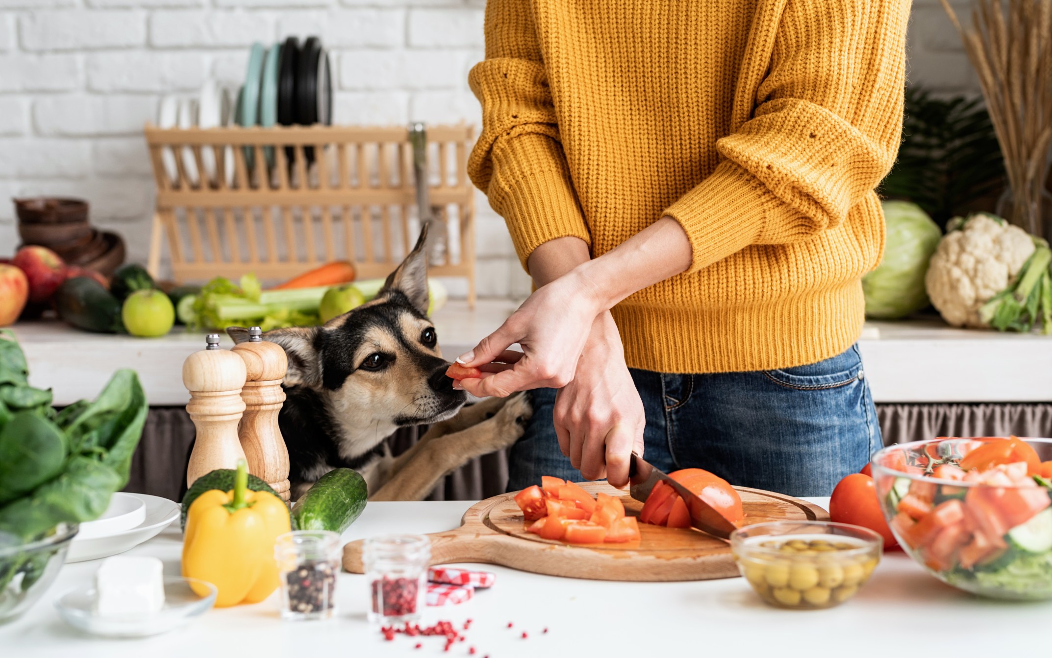 do vegetables need to be cooked for dogs