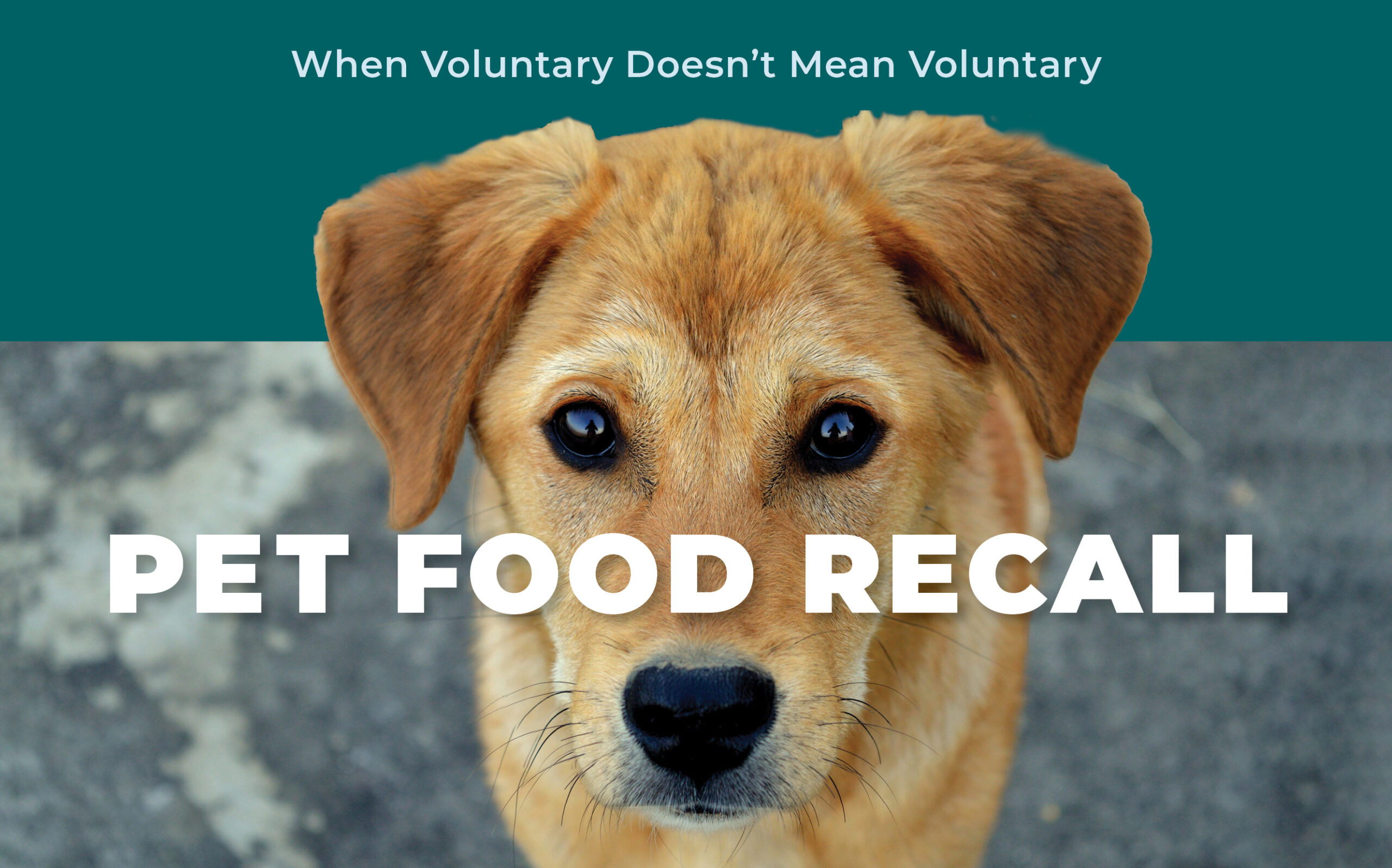 ‘Voluntary’ Pet Food Recalls are NOT Voluntary NorthPoint Pets & Company