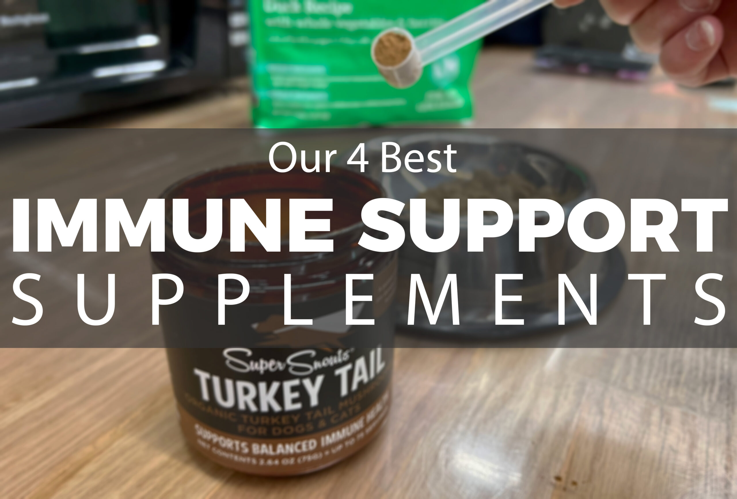 Our Four Best Immune Support Supplements - NorthPoint Pets & Company